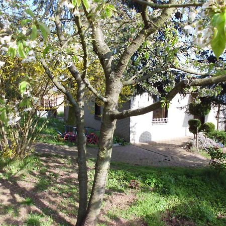 فيلا نوردهاوزنفي Ferienhaus Santo المظهر الخارجي الصورة