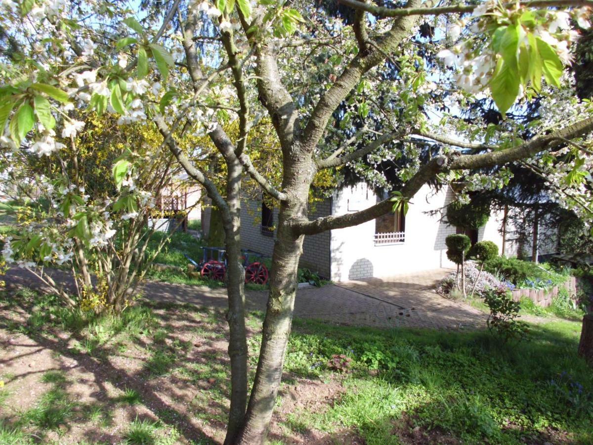 فيلا نوردهاوزنفي Ferienhaus Santo المظهر الخارجي الصورة